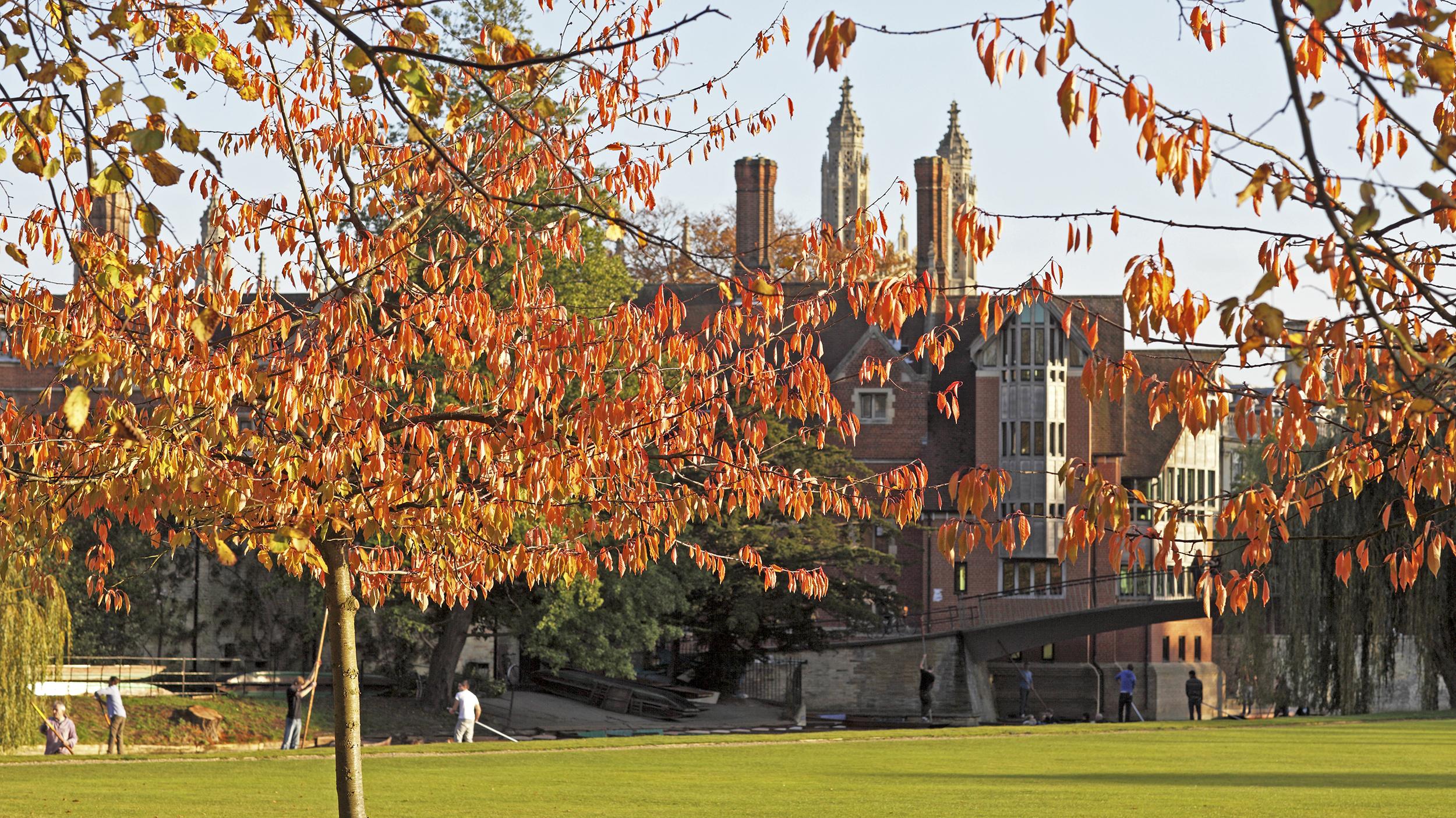 Autumn in Cambridge